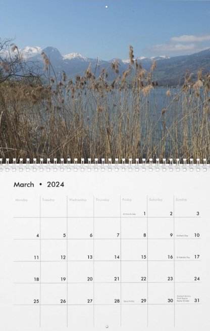 Travel Notes Wall Calendar - March