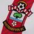 Southampton Football Club Logo - Official Southampton Football Club Website