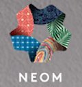 Neom Bay Airport