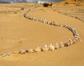 Wadi al-Hitan (Whale Valley)