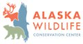 Alaska Wildlife Viewing Adventures