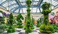 Bellagio Conservatory & Botanical Gardens