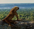 Visit Billings - The Rimrocks