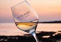 Muscadet Wine Region
