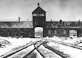 Auschwitz-Birkenau Memorial