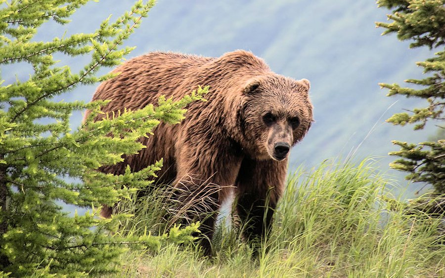 Anchorage, Alaska