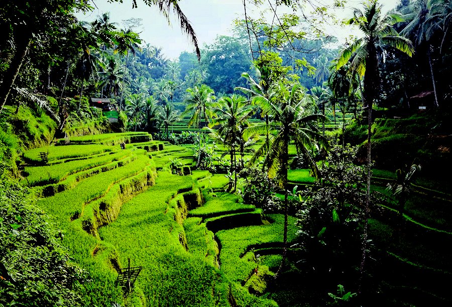 Bali, Indonesia