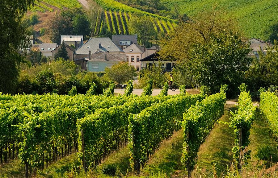 Luxembourg Moselle