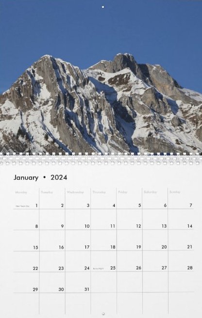 Travel Notes Wall Calendar - January