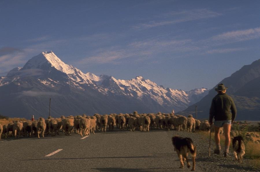 New Zealand Mt Cook