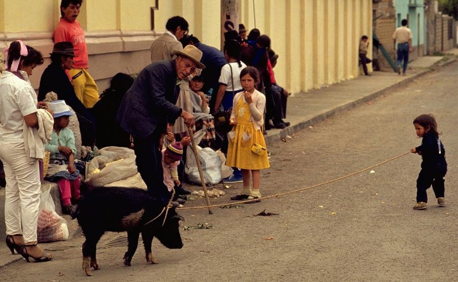 Piggy Went to Market Travel Photography