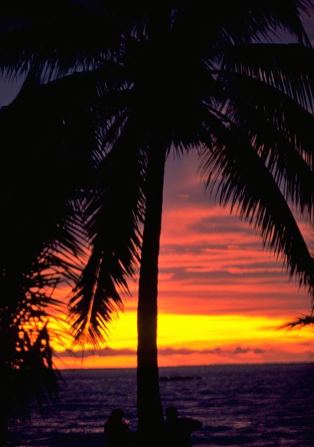 Champagne Sunset in Darwin, Australia Travel Photography