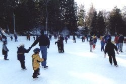 Cedarena -- Where Skaters leisurely skate to gentle tunes from the 40's and 50's.