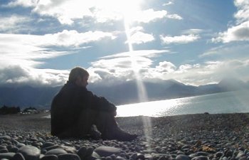 Whale Watching off Kaikoura, New Zealand.