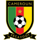 Cameroon 2014 World Cup Squad